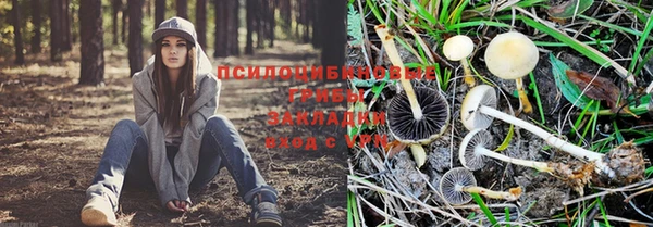 гашик Вязьма