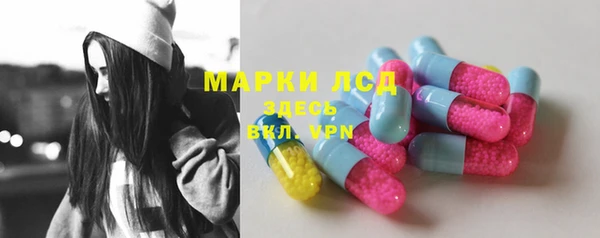гашик Вязьма