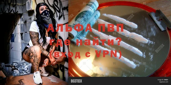 гашик Вязьма
