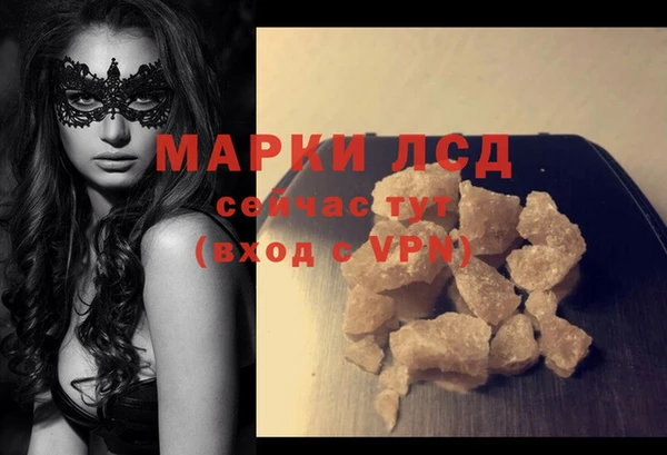 гашик Вязьма