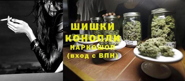 гашик Вязьма