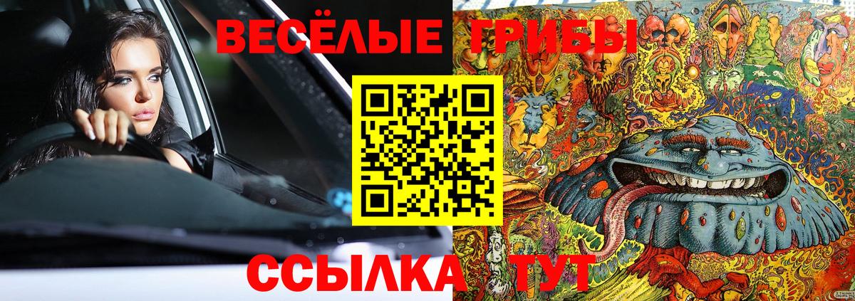 Зеленогорск  Псилоцибиновые грибы прущие грибы  Вход с VPN  Псилоцибиновые грибы Psilocybine cubensis 